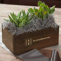 Custom Duet Succulent Trough